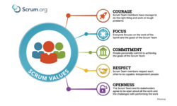 The scrum values
